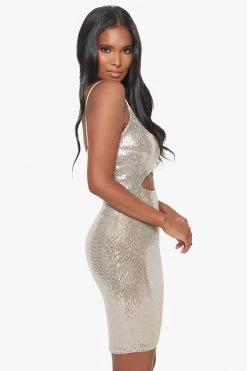 Honeybum Stay Current Sequin Dress