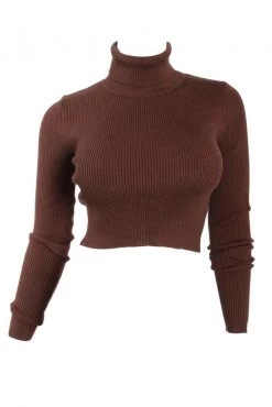 Honeybum Thinking About It Turtleneck Sweater SALE